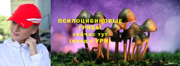 винт Арсеньев