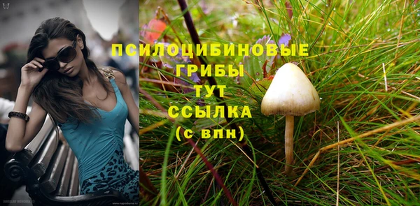 spice Армянск