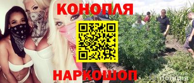 молекула духа Комсомольск-на-Амуре