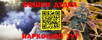 индика Коммунар