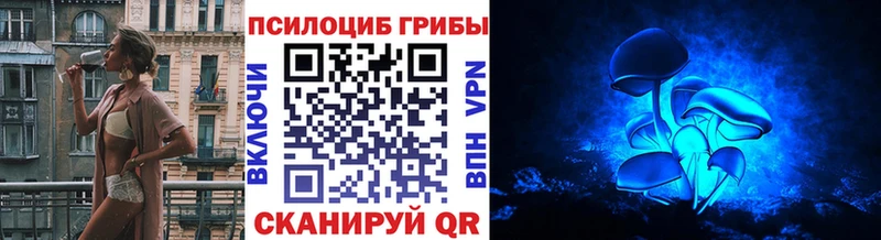 Псилоцибиновые грибы Psilocybine cubensis  Кириши 